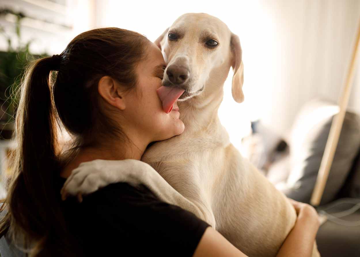 A woman hugs a yellow lab that is licking her
