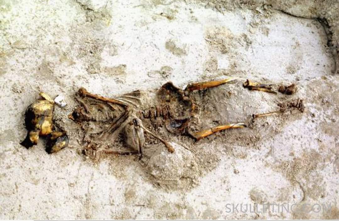 Burial found In the town of Uitgeest in the Netherlands