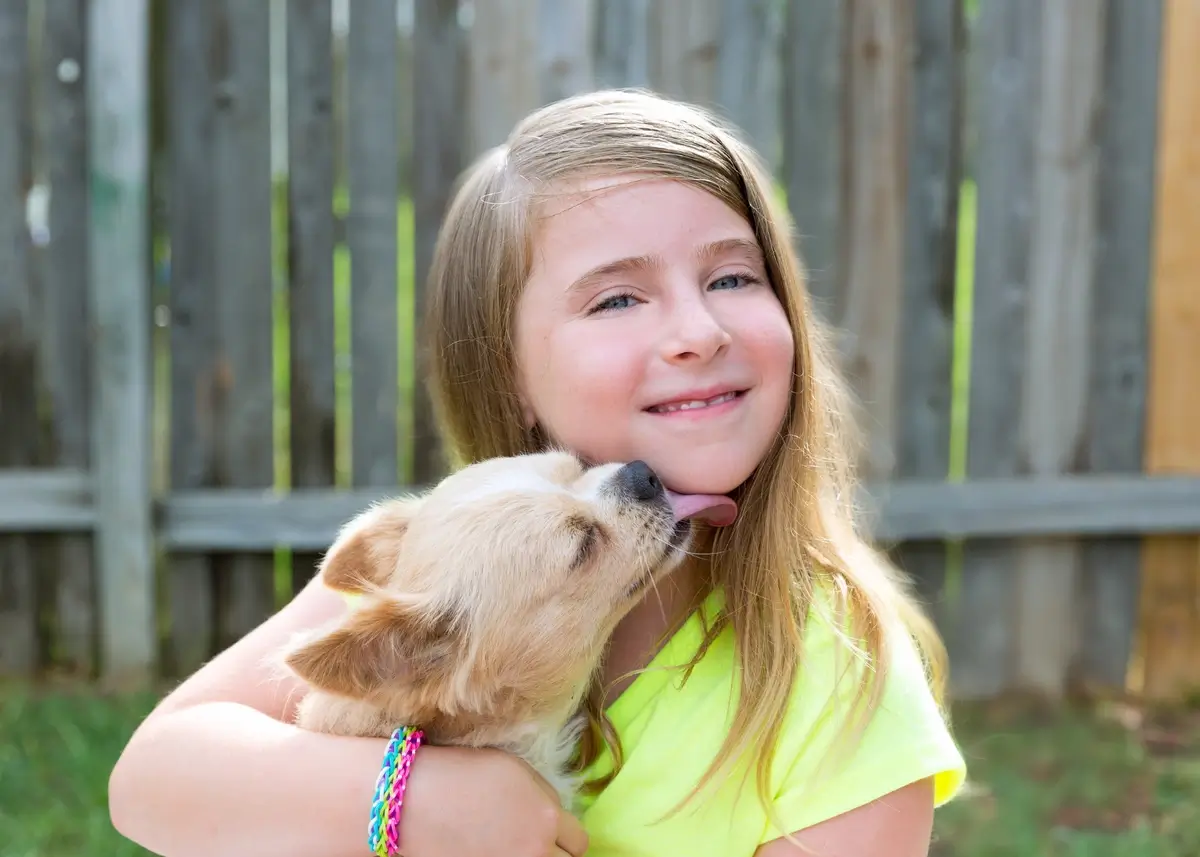 chihuahuakids (1).webp