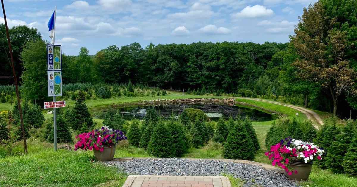 A disc golf tee pad in front of a fairway that drops down to a green area with Christmas trees and also water