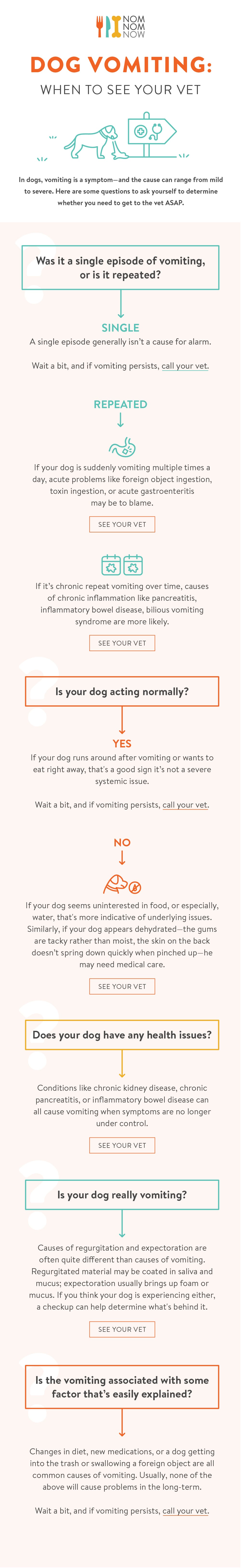 Causes of Dog Vomiting and Dog Vomit Color Guide - Nom Nom