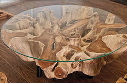 tree-base-glass-coffee-table.png