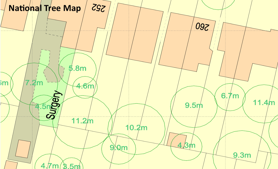 National Tree Map™ sample