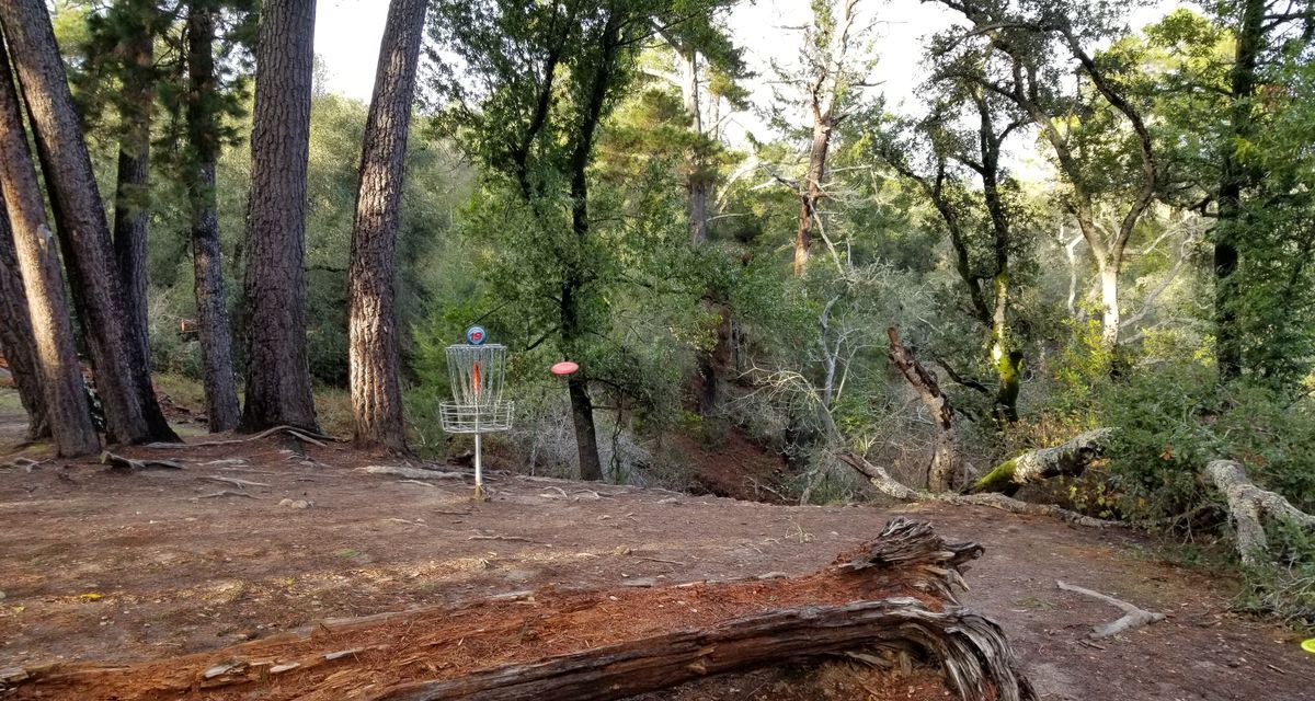 World's Best Disc Golf Courses DeLaveaga Disc Golf Course, Santa Cruz