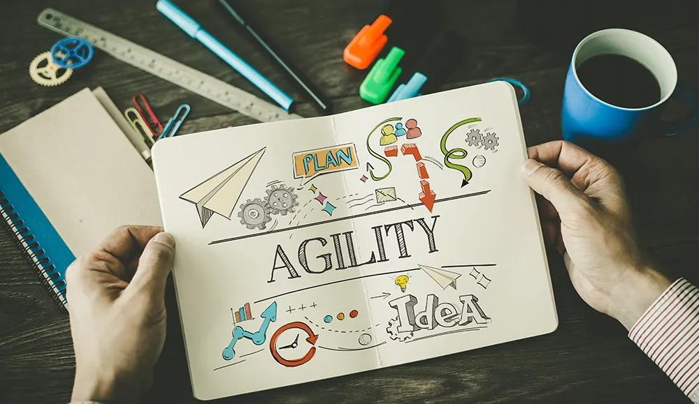 What is the Agile Project Manager?