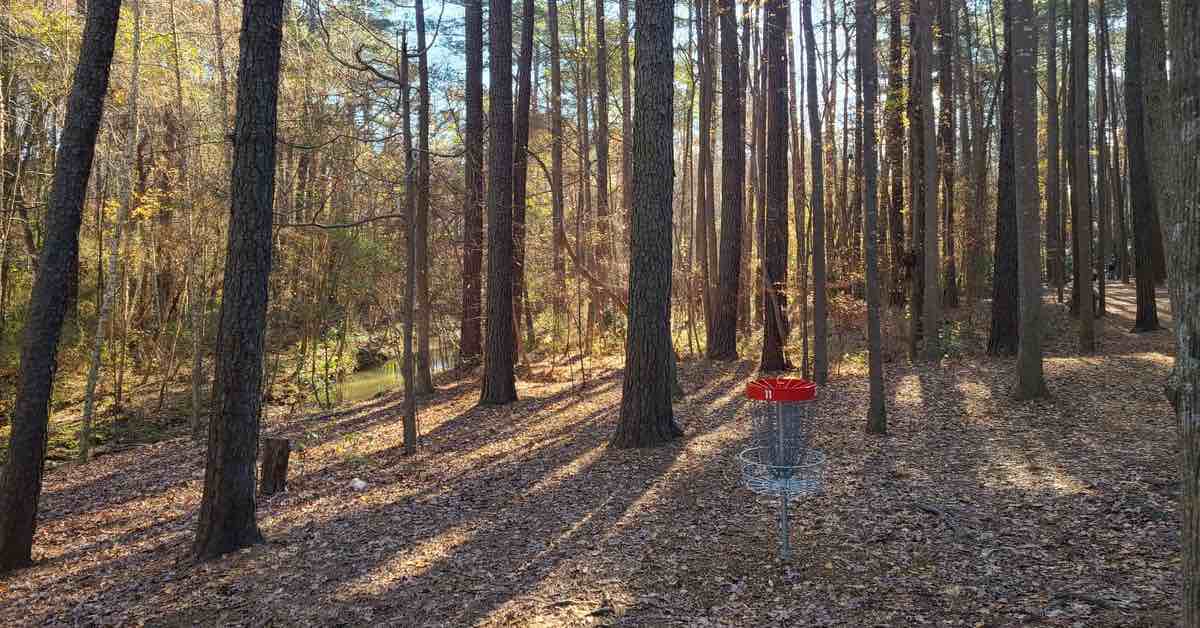 A red-banded disc golf basket among skinny pine trees