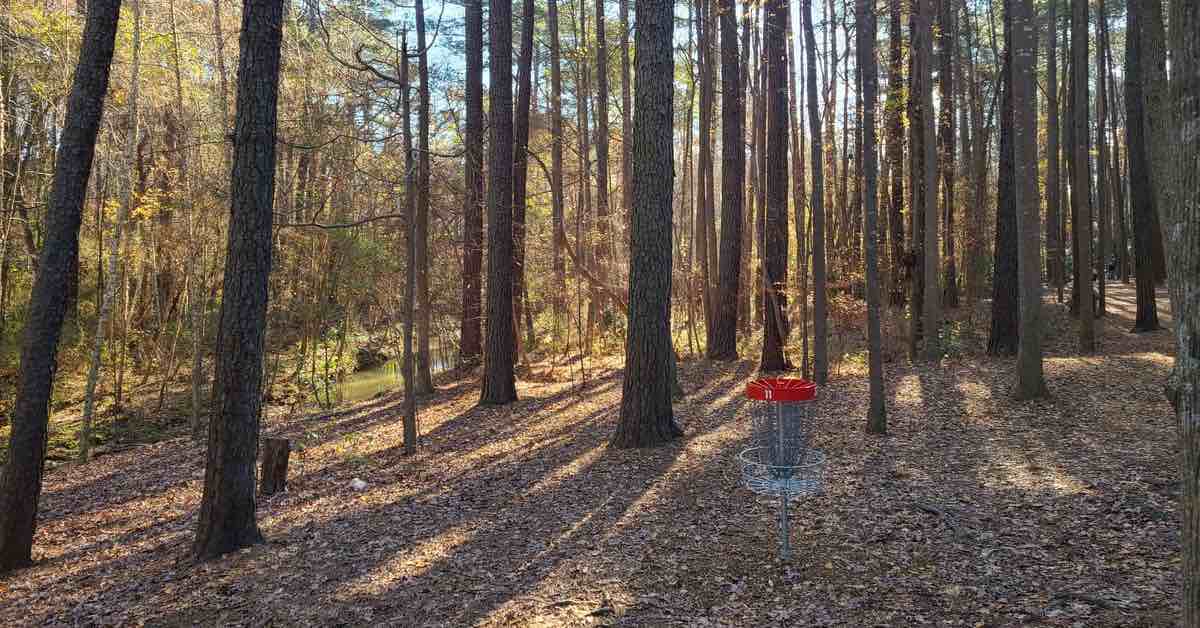 Un panier de golf à disque à bandes rouges parmi les pins maigres