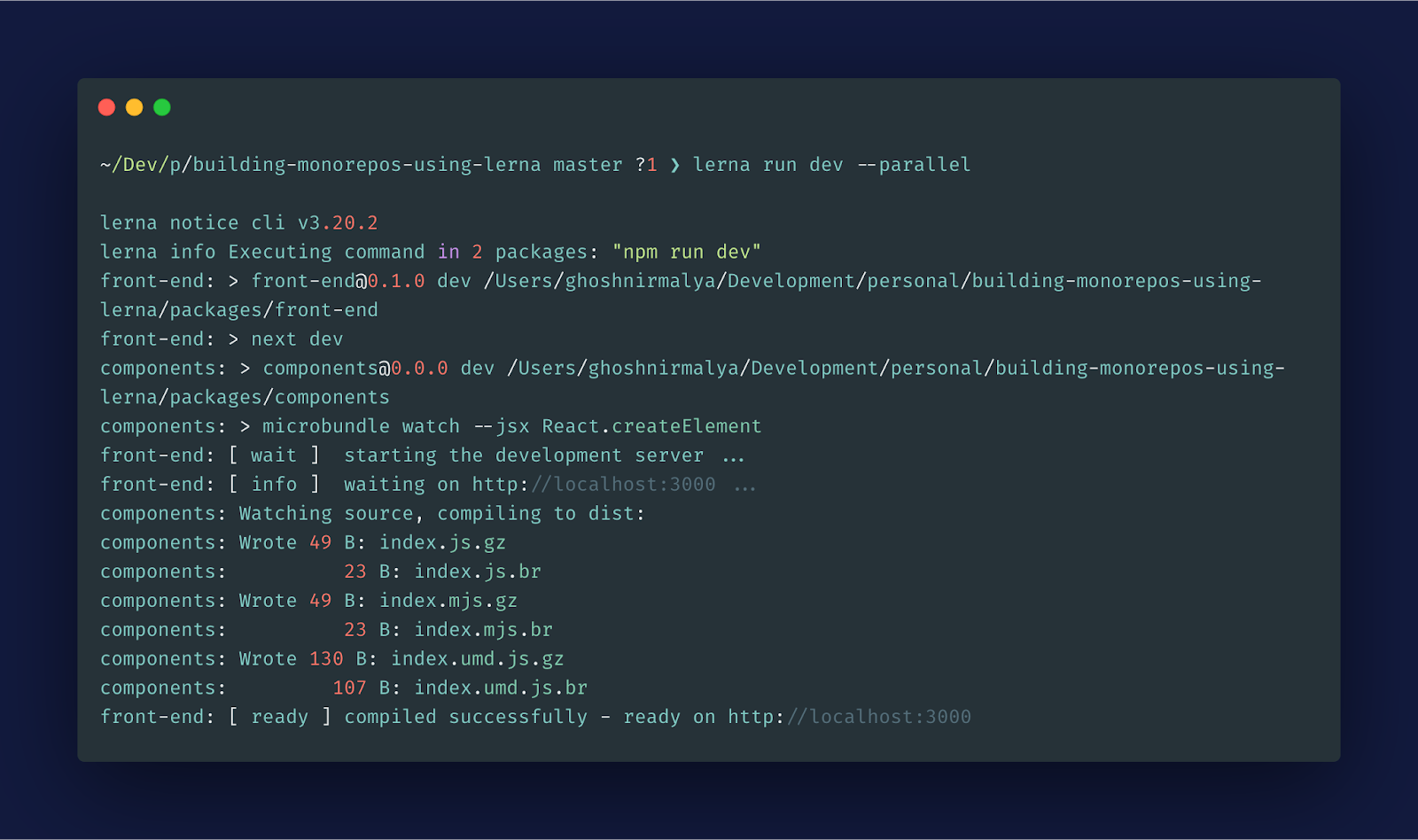 Screenshot: lerna server command logs