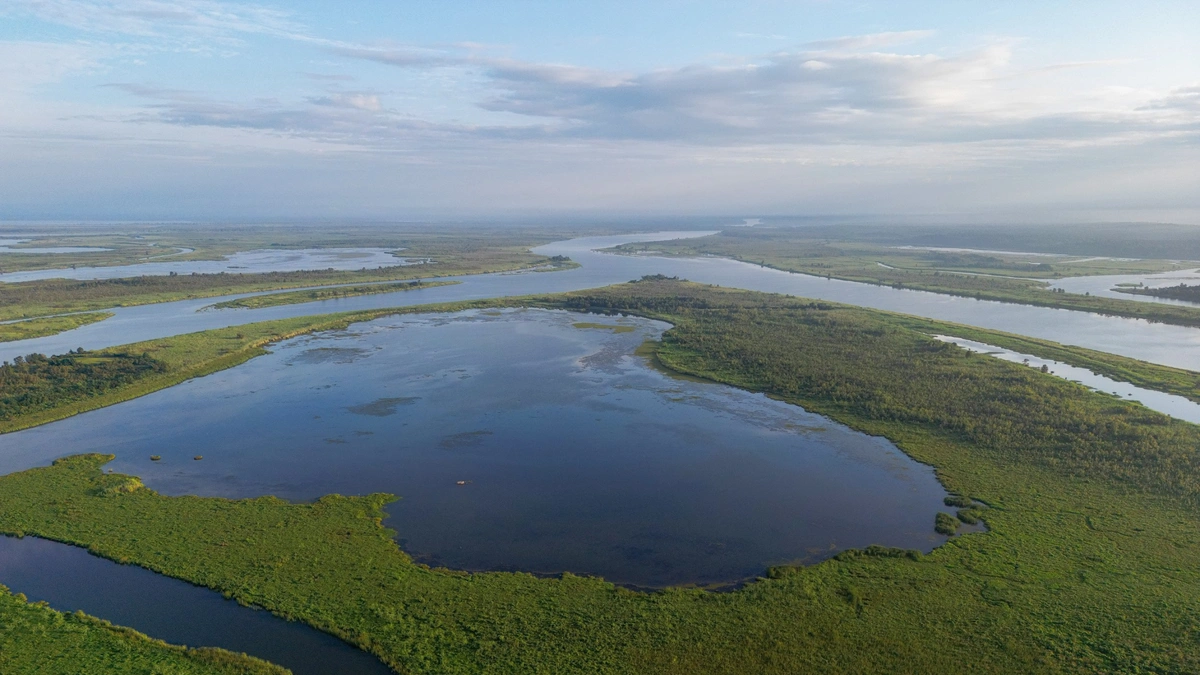 Ultimate Travel Guide to the Coastal Region of Alabama