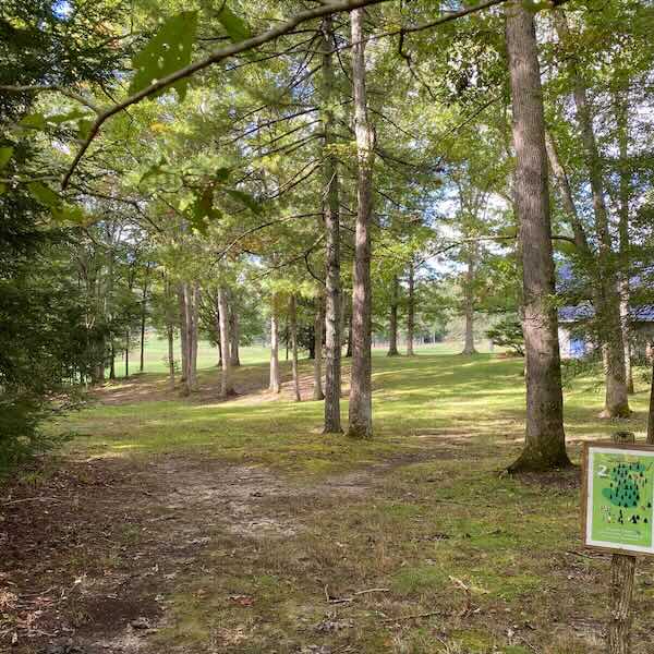 A disc golf fairway with scattered trees