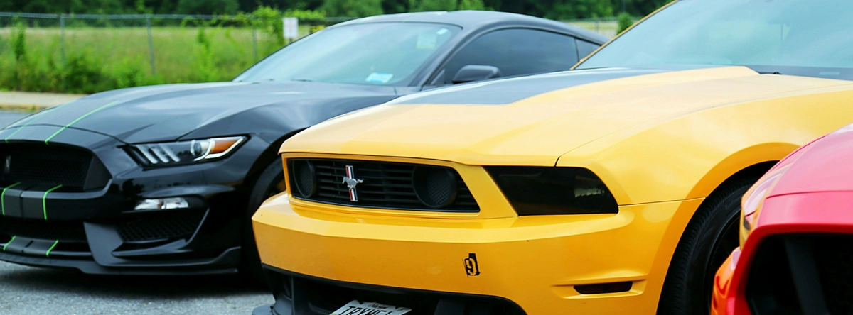 Ford Shelby 2021