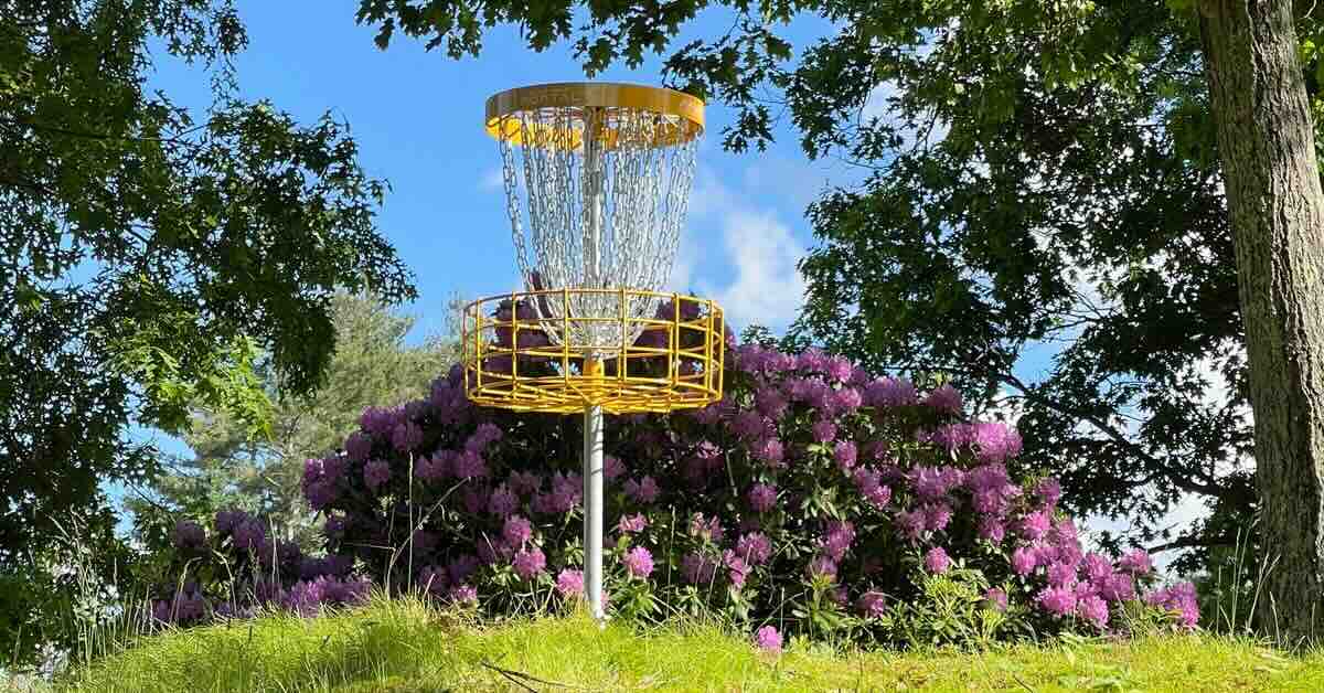 A disc golf basket in sunlight in front of a busg filled with purple flowers