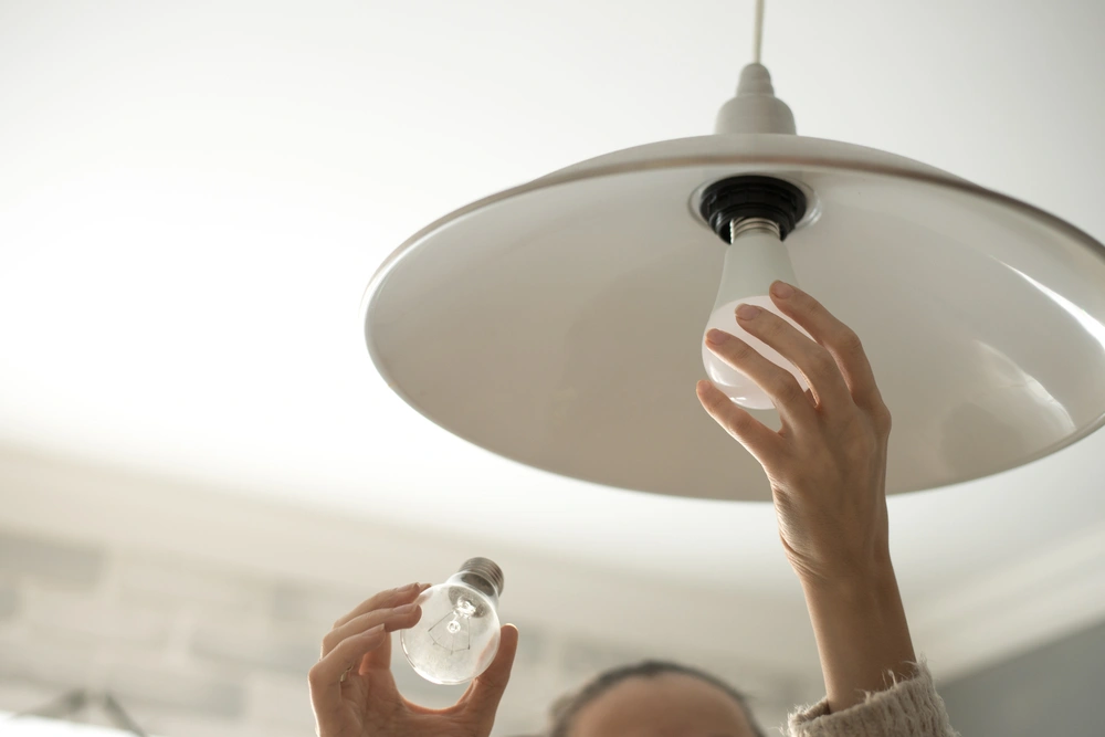 led lightbulbs saves you both energy and money over time