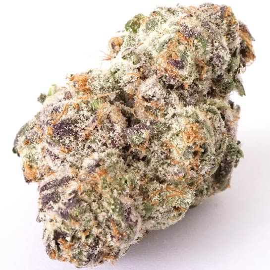 Cherry Kush Strain Profile | MAMA'S GANJA