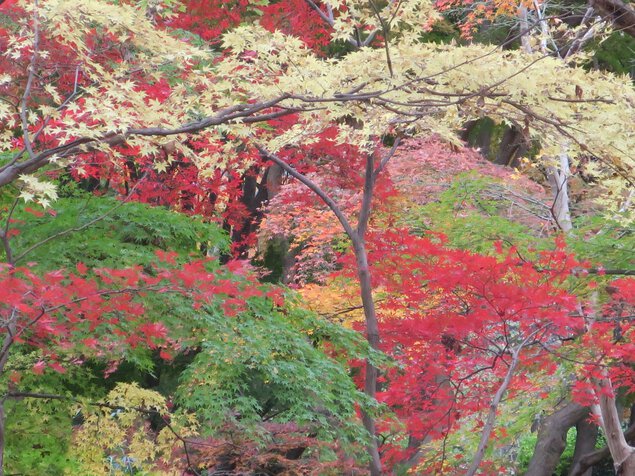 神代植物公園
