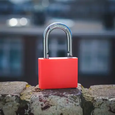 Padlock sitting on a rock.