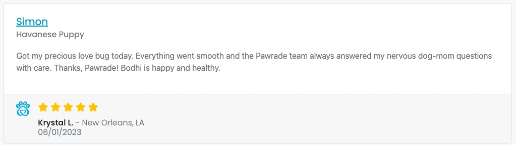 Screen Shot 2023-06-10 at 1.47.56 PM.webp