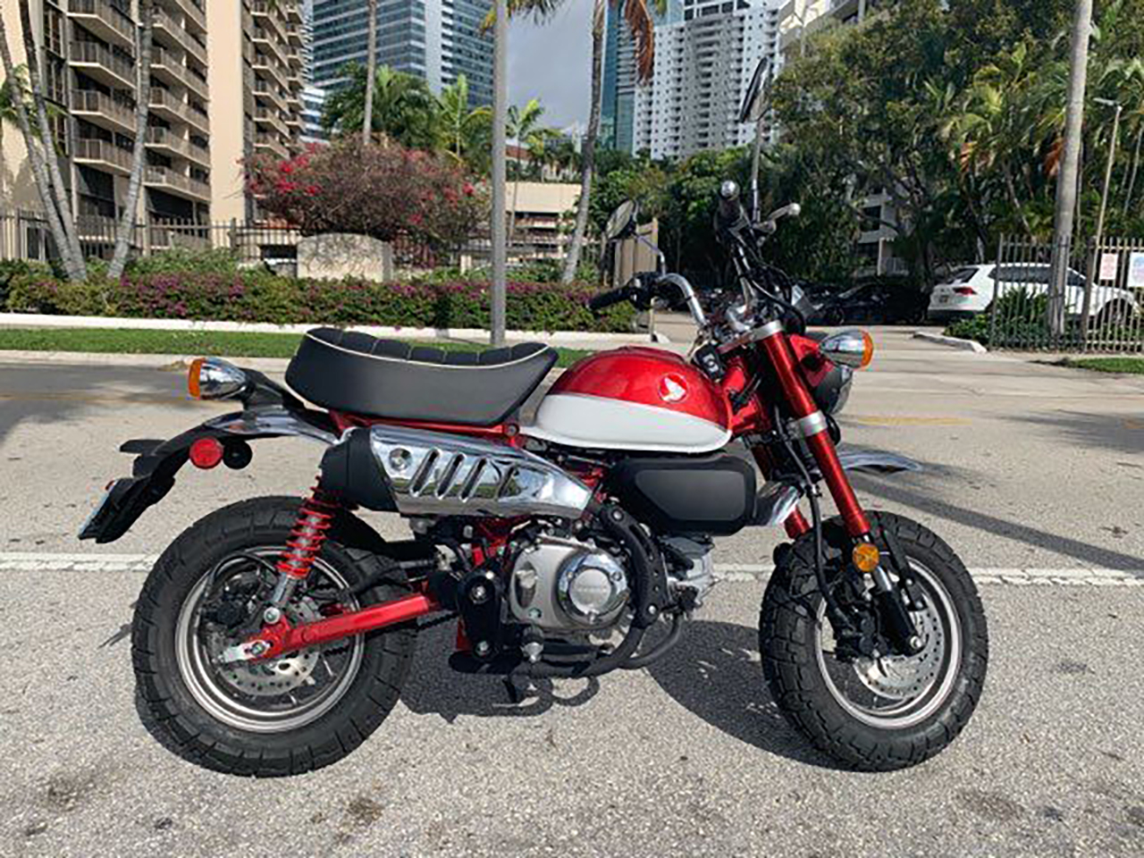 Luciana Gekoff's 2019 Honda Monkey.jpg