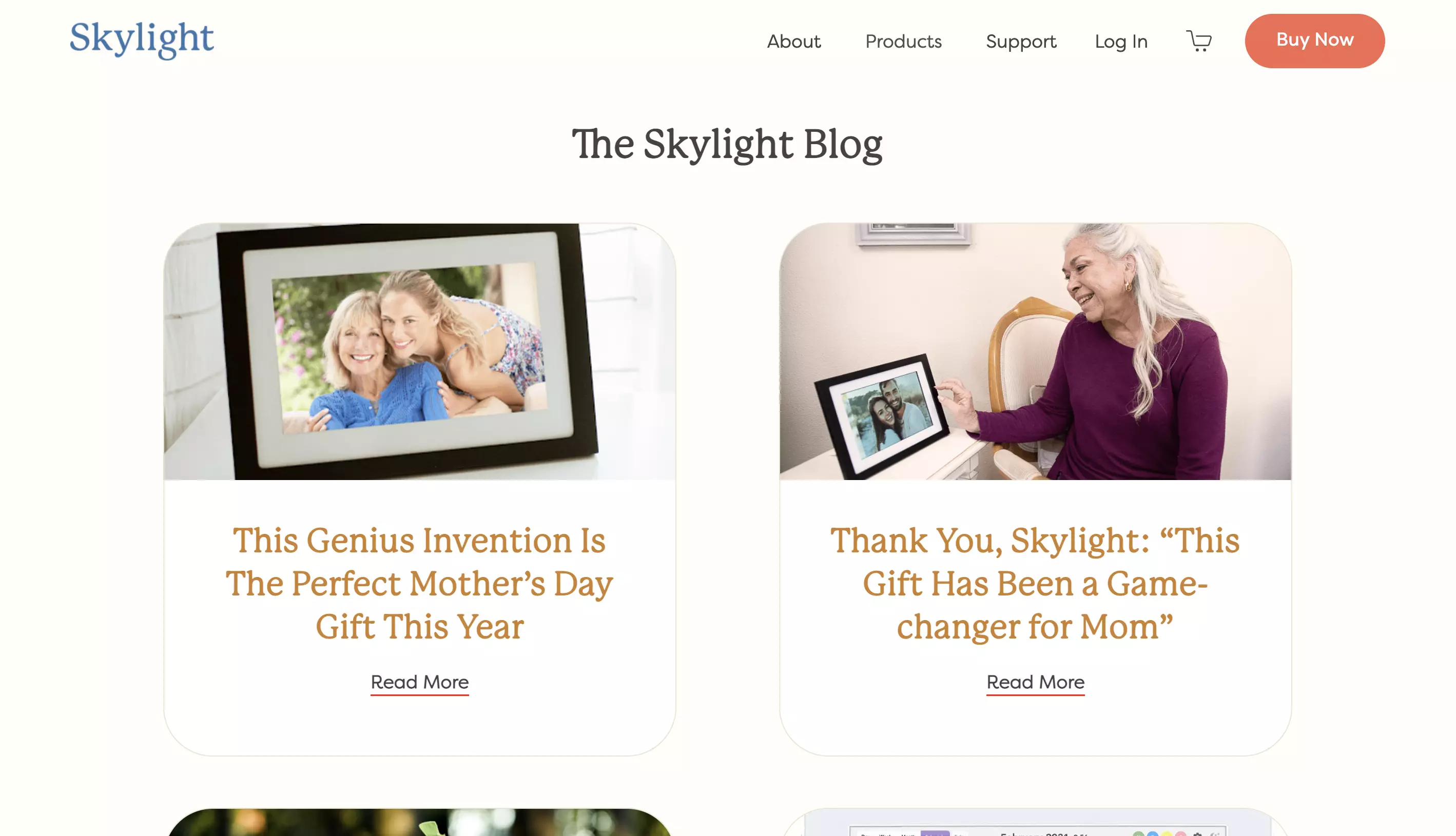 skylight frames blog homepage