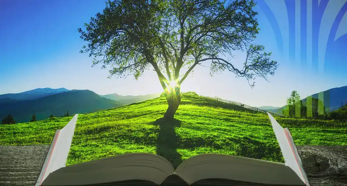 The Learning Tree Way
