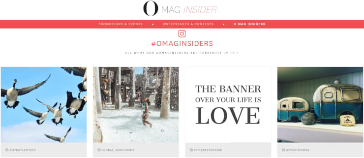O magazine embed Instagram feed on website