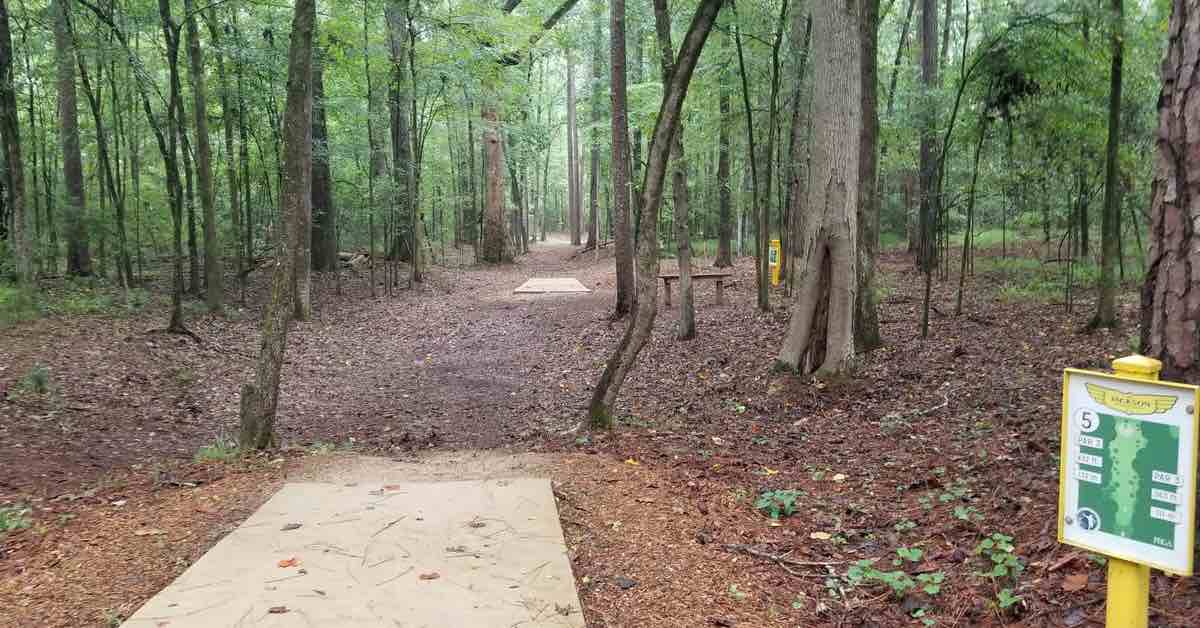 A tee pad on a very tightly wooded disc golf fairway