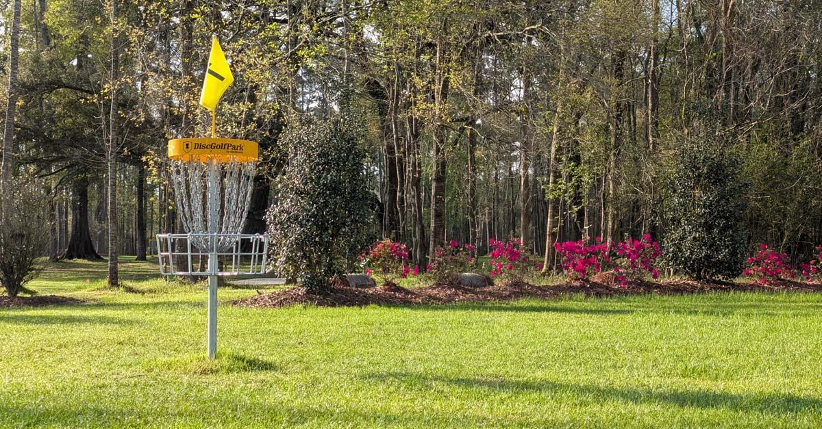 A disc golf basket in a mowed park area