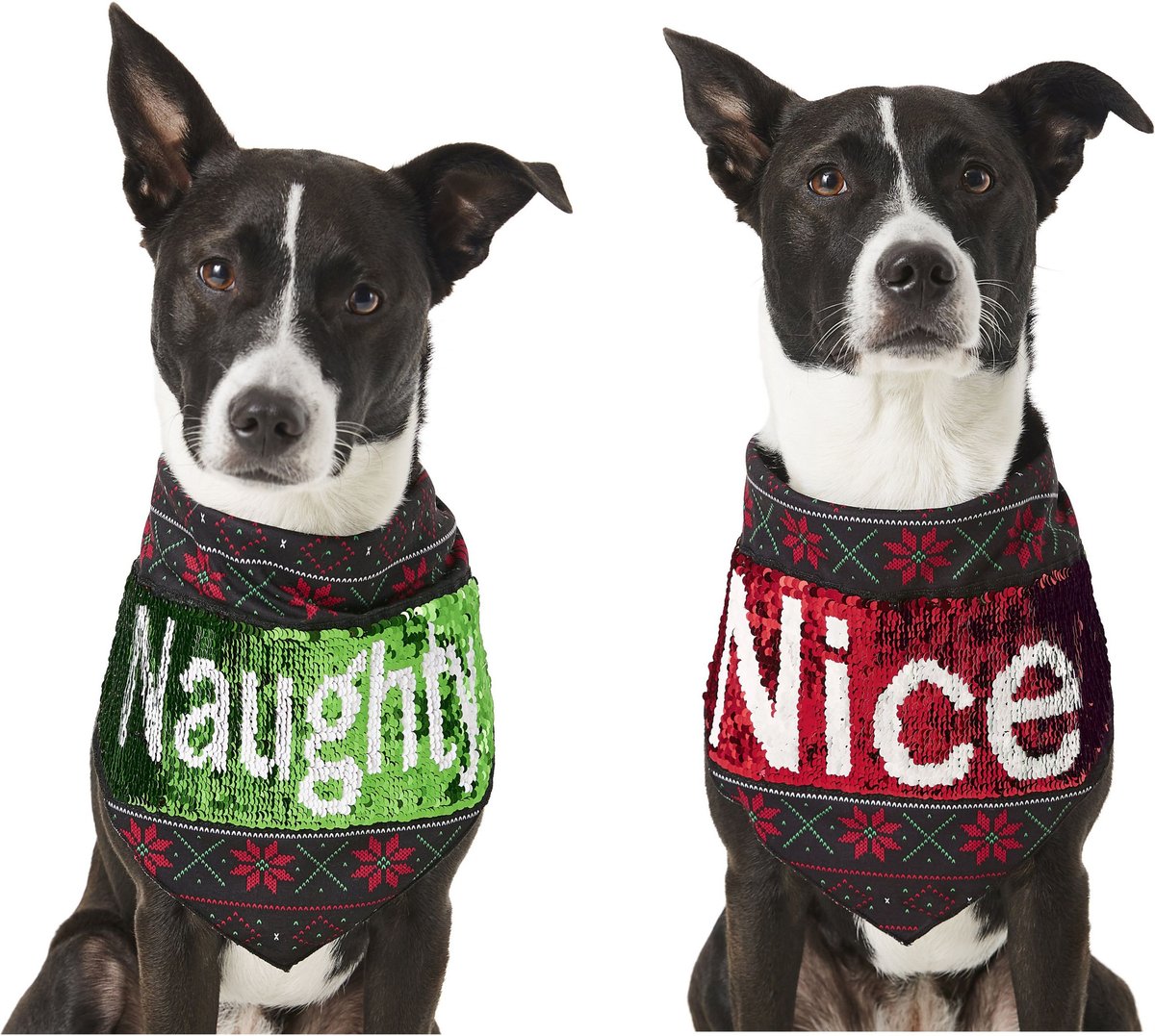 10 Festive Holiday Outfits & Accessories For Your Puppy