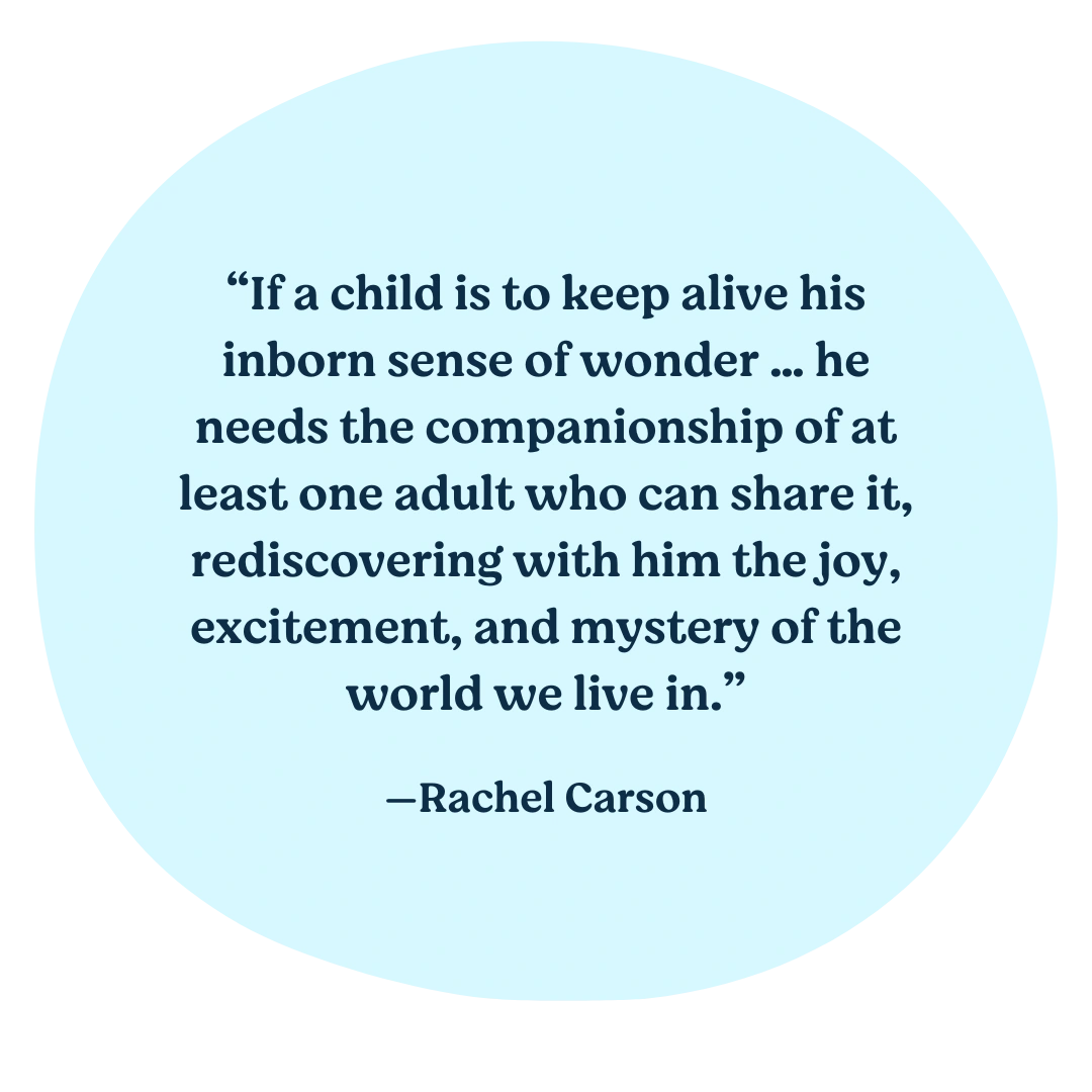 If a child is to keep alive his inborn sense of wonder … he needs the companionship of at least one adult who can share it, rediscovering with him the joy, excitement, and mystery of the world we live in. —Rachel Carson