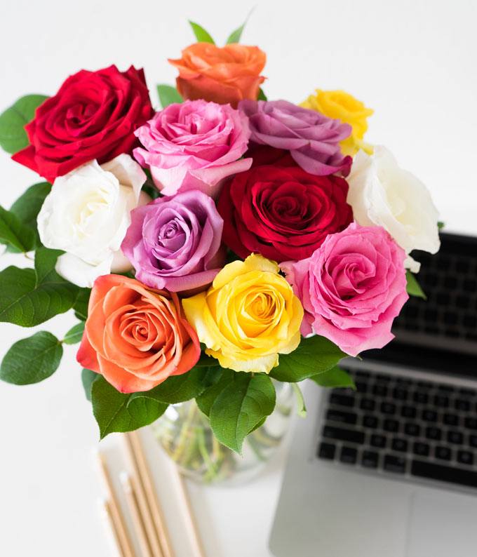 One dozen rainbow roses