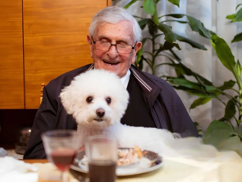 Older man smiling warmly at a dining table with a white Bichon Frise dog in his arms