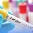 teste da dengue, prevenção, dengue