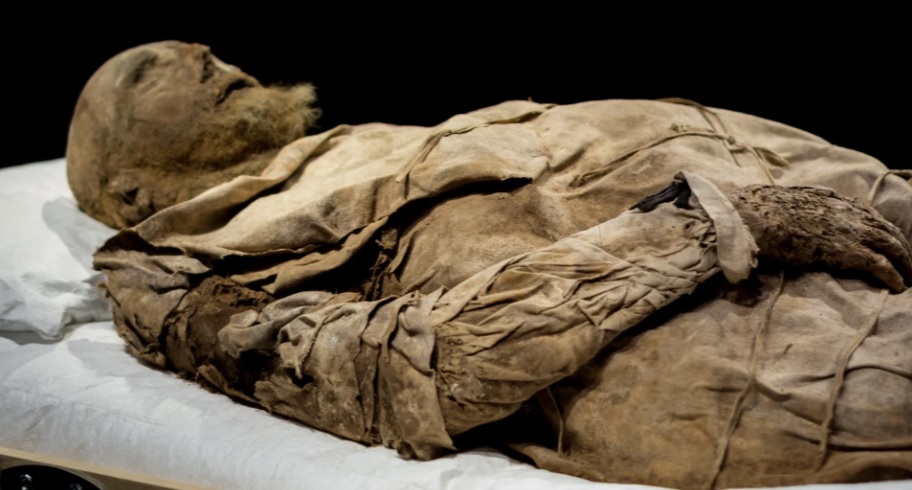 Mummy of Bishop Peder Pederson Winstrup