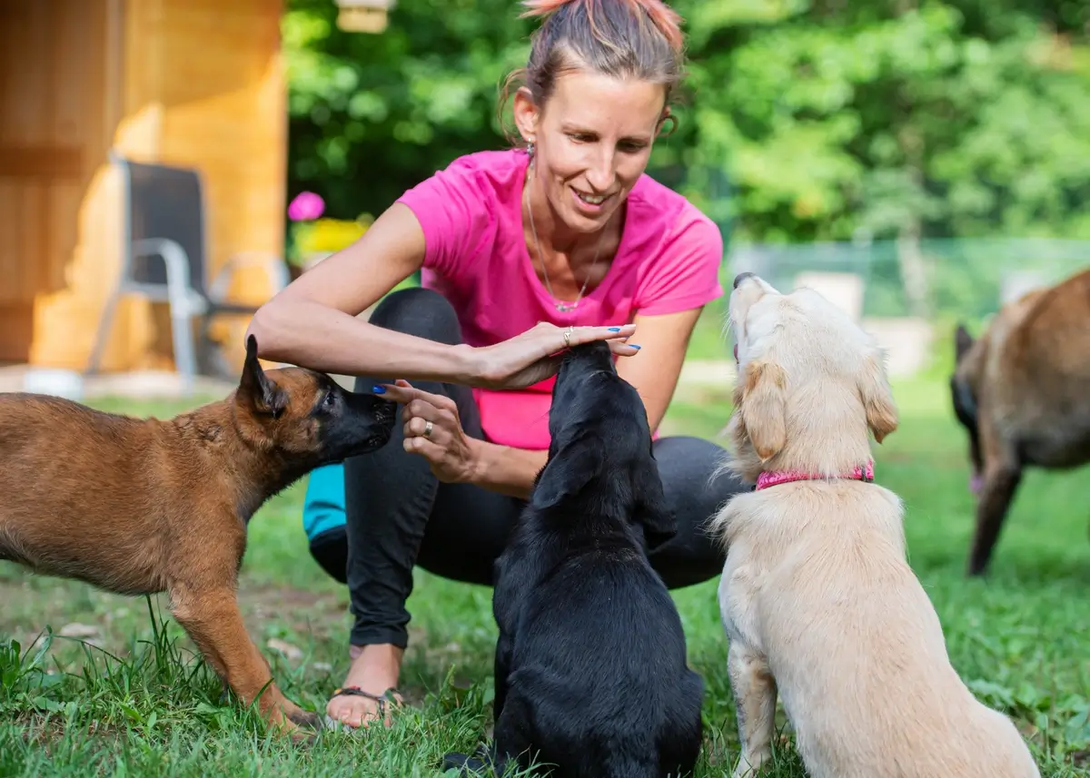 A breeder with 3 dogs