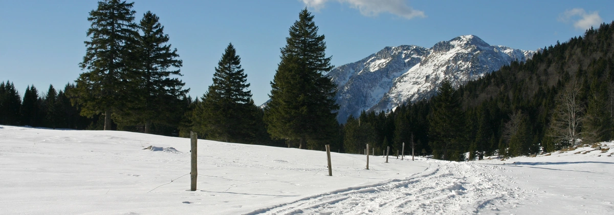 Pre-Trip Planning_ Know Before You Go.webp