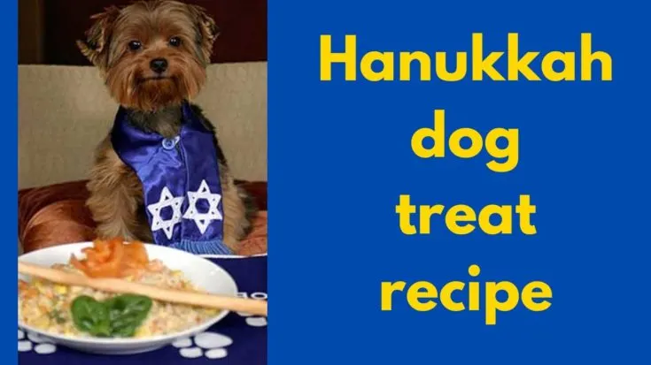 hanukkah-dog-treat-recipe-735x413.jpg...