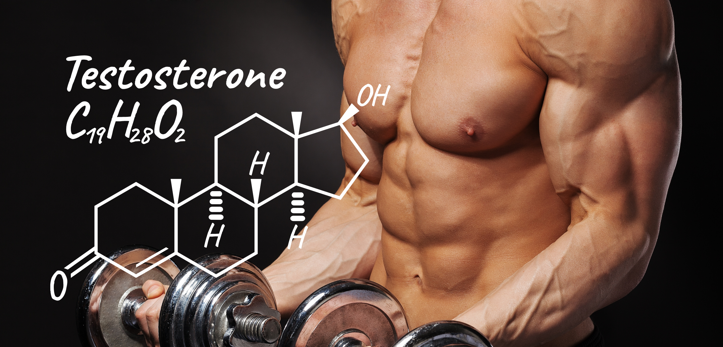 6 Claves Para Incrementar tus Niveles de Testosterona Naturalmente