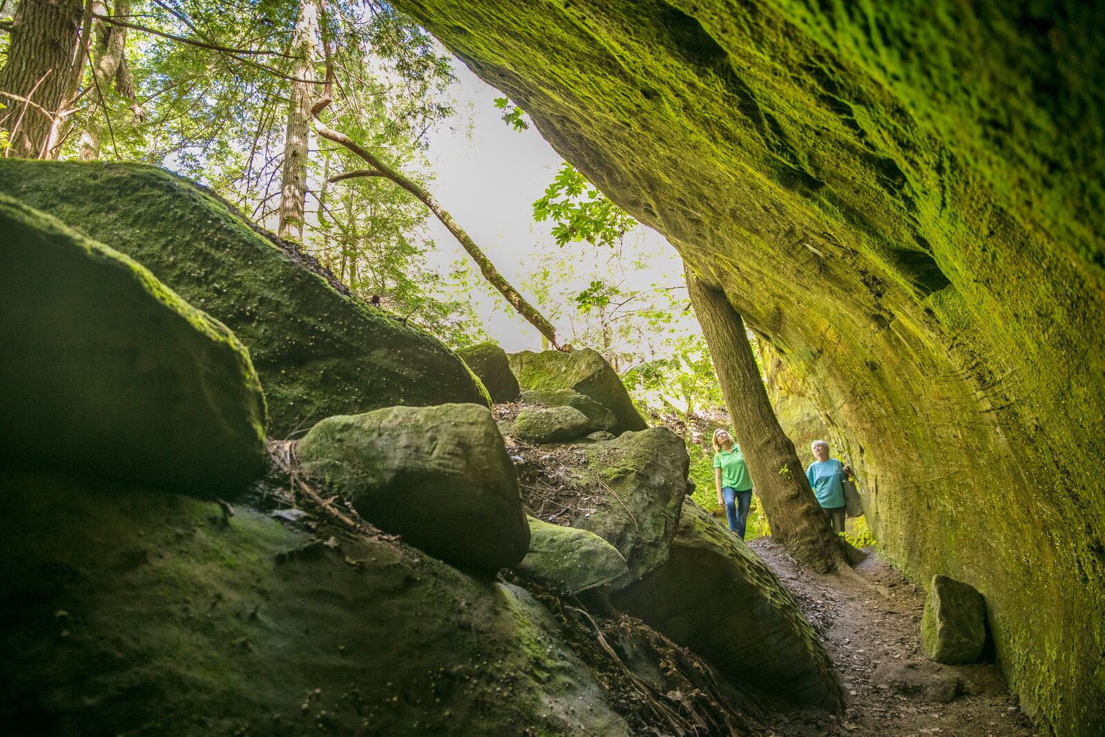 Light Up Your Night By Exploring Dismals Canyon