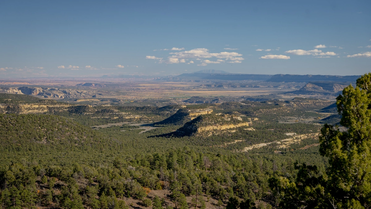 Panoramic views from the top of Whites Flat Hog Ranch