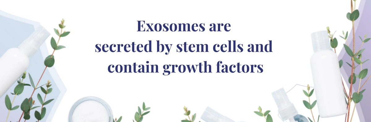 Exosomes are released by stem cells