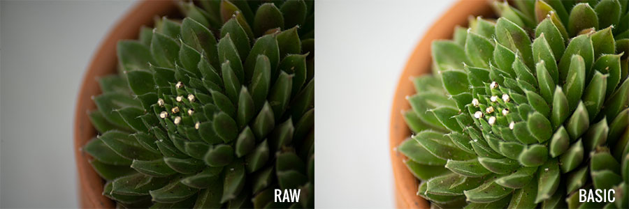 Comparison of raw image and basic brightness and contrast edits