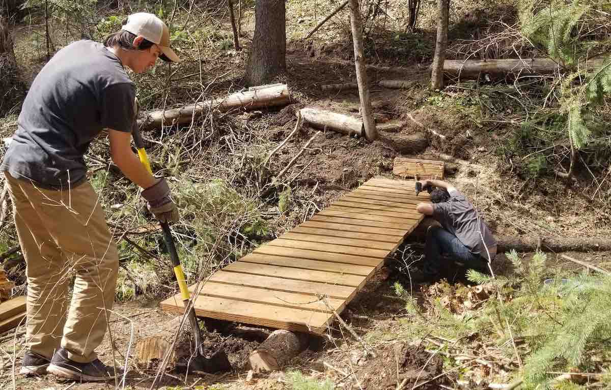 Two men building small bridge in a wooded area