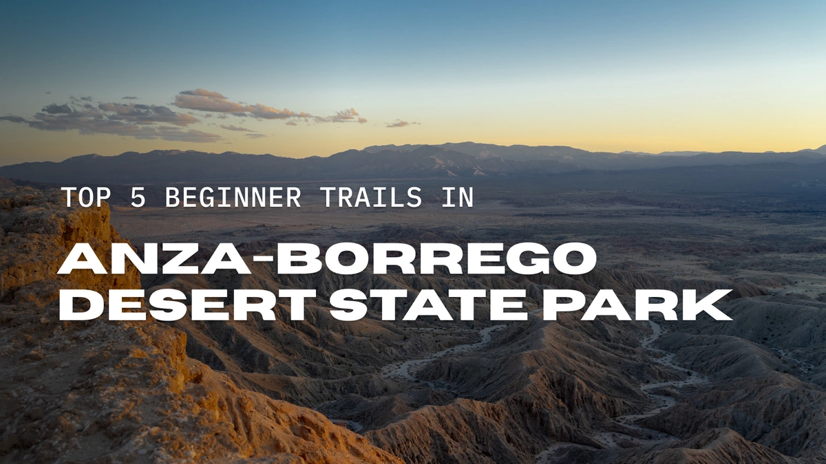 Top 5 Beginner Trails in Anza-Borrego Desert State Park Blog Photo
