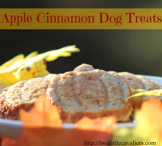 Apple-Cinnamon-Dog-Treats.2littlecavs...