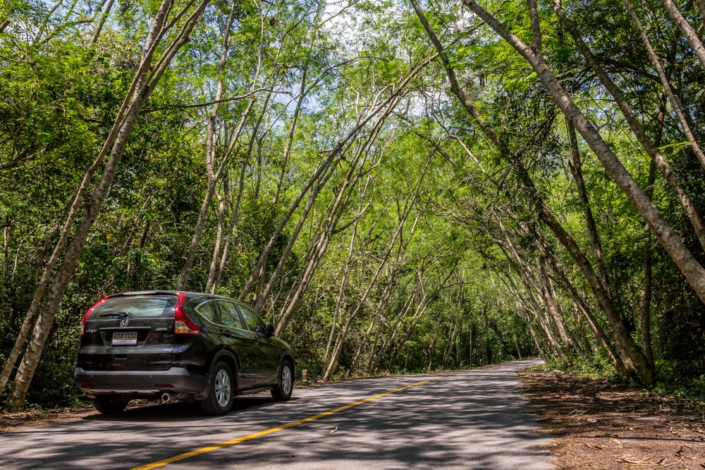 The 5 Best High Mileage Tires for a H...