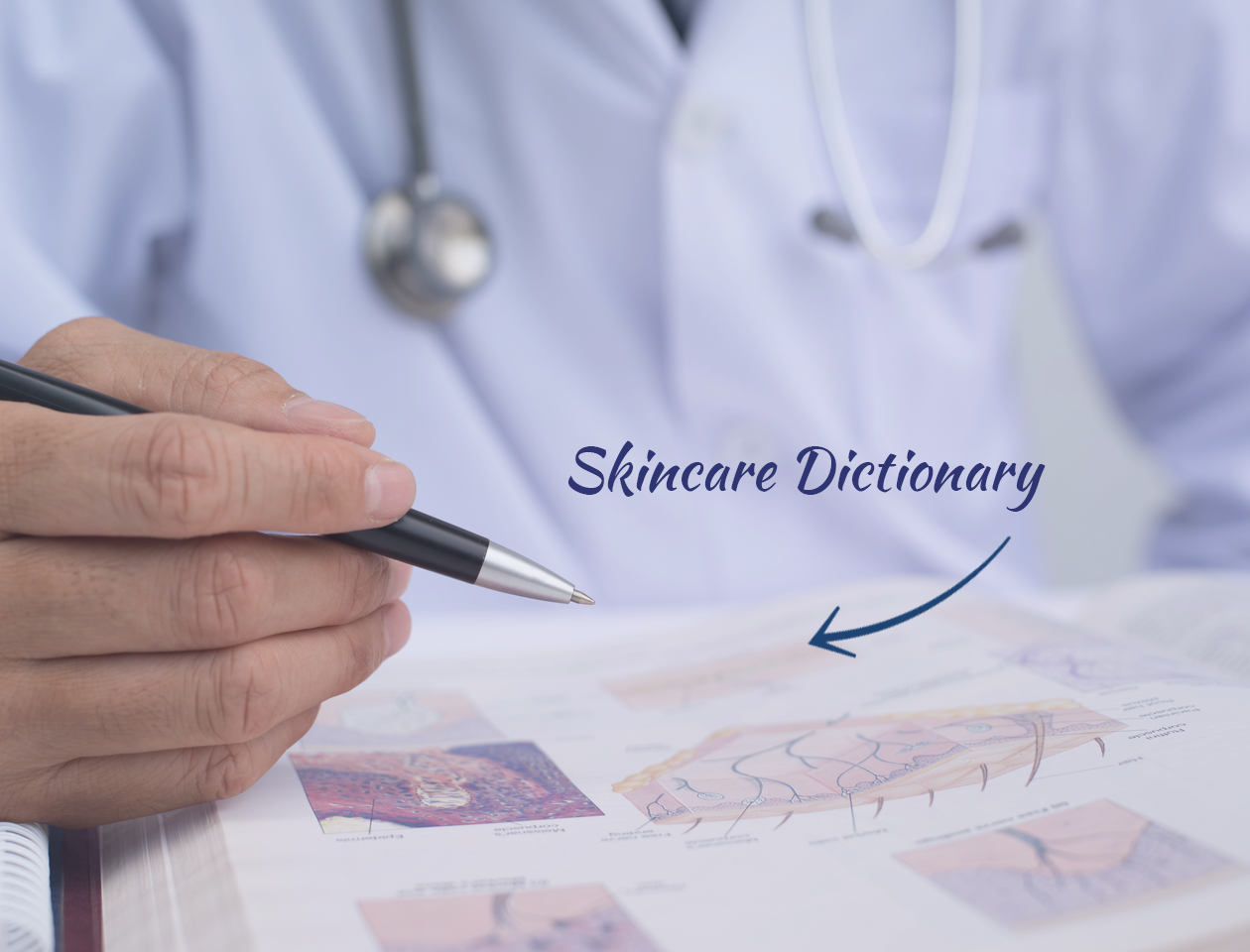 image of a Dictionary of Skin Care Terms