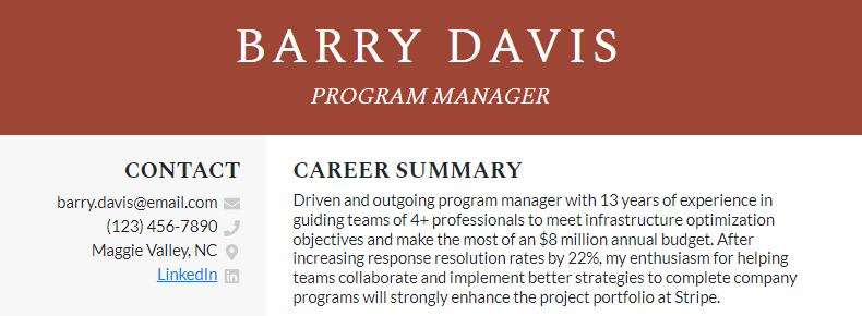 A resume summary for a program manager with 13 years of experience
