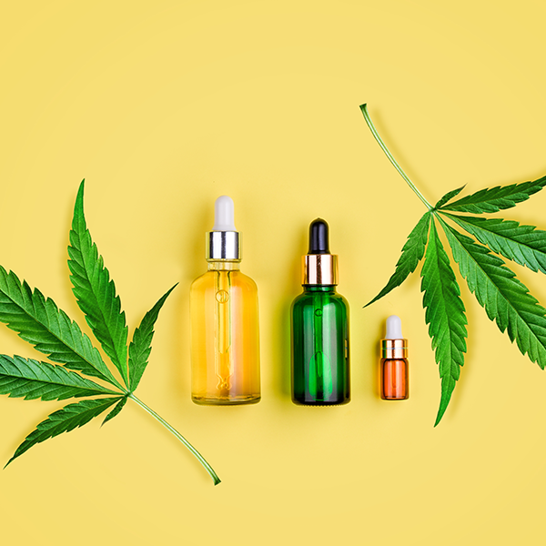 Driving Success for Cannabis Brands