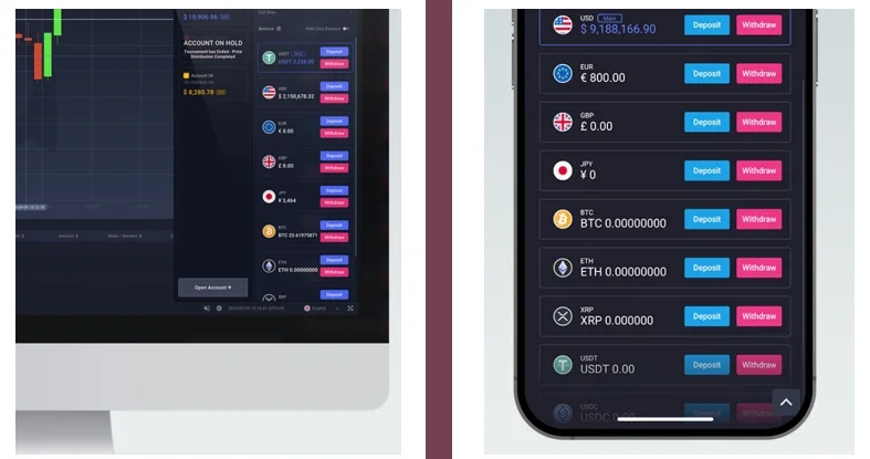 What is a Main Currency / Pocket Currency?