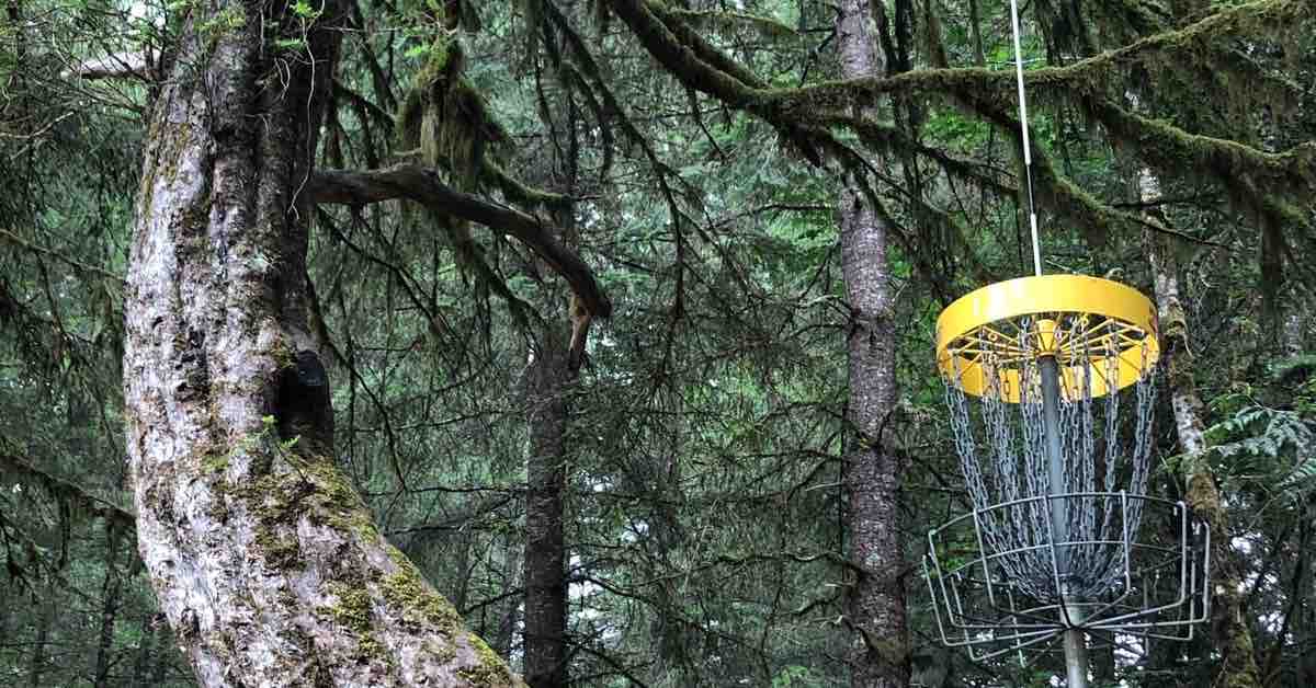 A yellow-banded basket in northwestern woods